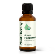 Plant Therapy peppermint oil bottle front view for refreshing aromatherapy and focus.