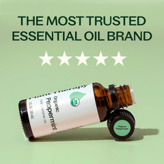 Plant Therapy peppermint oil bottle with dropper for precise dilution in skincare.