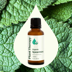 Plant Therapy Spearmint Oil bottle pour illustrates topical use and ease