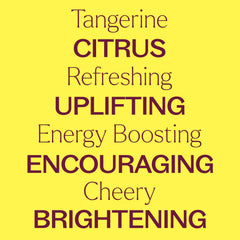 Plant Therapy Tangerine Essential Oil diffuser setup emphasizes uplifting citrus aroma for a refreshing mood