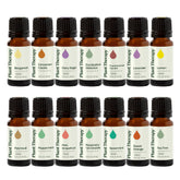 Plant Therapy Lavender bottle for calming aroma diffusion and skin care prep