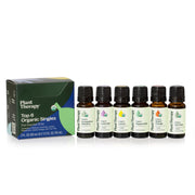 Plant Therapy Eucalyptus bottle for uplifting diffusions and fresh air feel
