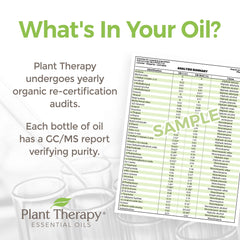 Plant Therapy Vetiver oil label with batch code for quality traceability.