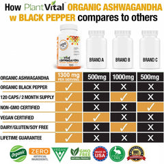 Plantvital Ashwagandha capsules being poured from bottle.