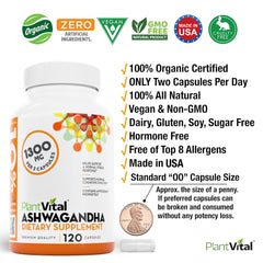 Close-up shows Plantvital Ashwagandha capsules with 1300mg per serving.