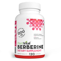 PlantVital Berberine 1200mg bottle on shelf suggesting daily wellness support.