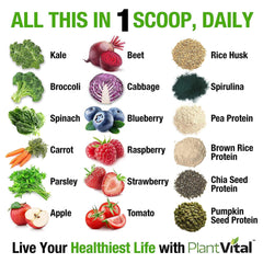 Plantvital protein powder scoop measures portions for 24g protein per serving.