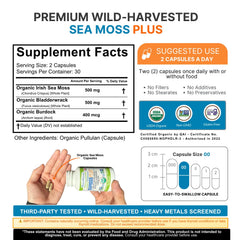 Power By Naturals SeaMoss Plus bottle cap visible, convenient daily capsules.