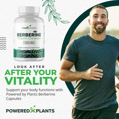 Powered X Plants berberine bottle label highlighting cinnamon blend for antioxidant support.