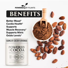 Powered X Plants dark cacao powder in bowl for rich flavor in baking and shakes