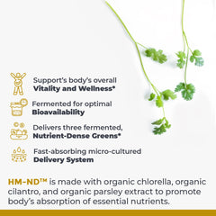 Premier Research Labs Fermented HM-ND chlorella close-up highlighting nutrient-dense greens