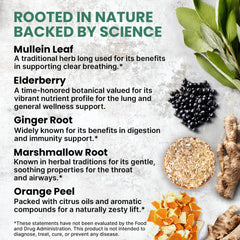 PrimeMD mullein leaf plant detail highlighting natural herbal source for breathing wellness