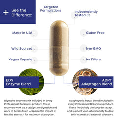 EDS blend enzymes illustration highlighting enhanced absorption
