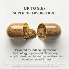 Prominent Nutrition Berberine Phytosome packaging flatlay showing quality supplement presentation