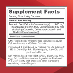 Protocol Curcumin Turmeric capsules close-up for daily support