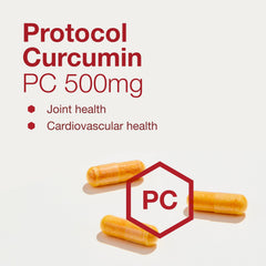 Phosphatidylcholine structure visualization for PROTOCOL FOR LIFE BALANCE Curcumin PC