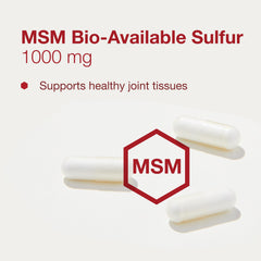 PROTOCOL FOR LIFE BALANCE MSM in hand emphasizes portability for daily support