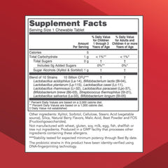Proto Dophilus chewable tablet closeup highlighting tasty texture and convenient daily use