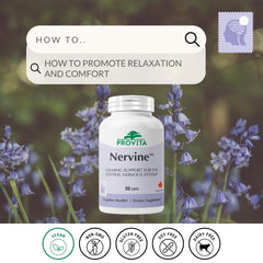PROVITA Nervine capsules 60-count, showcasing convenient daily calm support