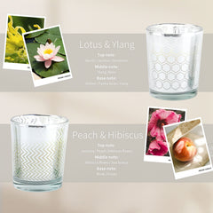 PTSGCAI Gold Series lead-free wick delivers smokeless ambience.