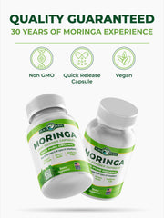 PURA VIDA MORINGA label with organic seal signaling trusted origin