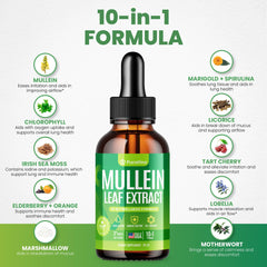 Purafina Mullein Drops dropper close-up highlights easy-to-use dosing for daily lung support.