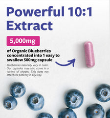 PURE CO blueberry capsules poured for convenient daily wellness routine.