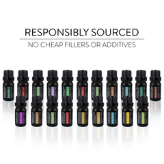 Pure Daily Care 20-oil set ready for aromatherapy sessions