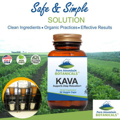 Pure Mountain Botanicals kava root extract powder close-up