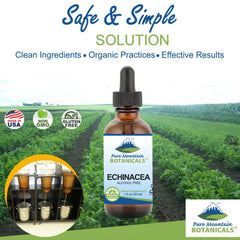 Pure Mountain Botanicals label highlights organic echinacea angustifolia root.
