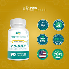 Pure Nootropics 7,8-DHF capsules daily-use scene suggests a routine.