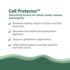 PURE SYNERGY Cell Protector key ingredients illustrate diverse cellular nourishment.
