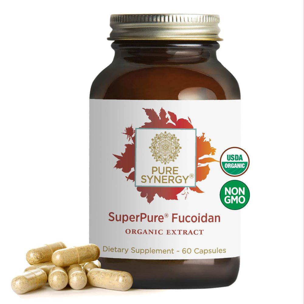 Pure Synergy SuperPure fucoidan extract bottle for immune support and digestive harmony.