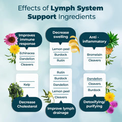 PUREHEALTH RESEARCH Lymph System Support capsules poured from a bottle for convenient daily use.