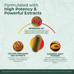 PurePremium Berberine Cinnamon label highlights US-made quality and GMP standards.