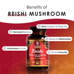Graphic illustrating the dual-extraction process used for Purest Mushrooms Reishi tablets.
