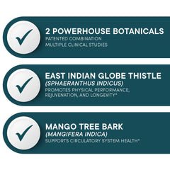 Purity Products Muscle Accelerator blend container shows East Indian Globe Thistle and Mango Tree Bark