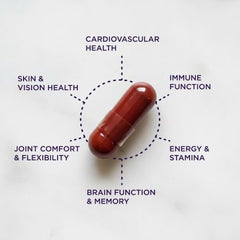 Purity Super Pill omega oils visual emphasizing EPA/DHA for heart support.