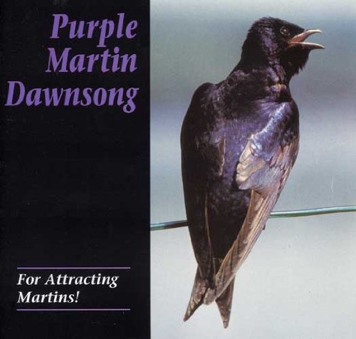 Purple Martin Dawn Song CD cover used to attract martins to your yard