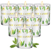 PVUELE Sage Candle 6-pack packaging display for gifting