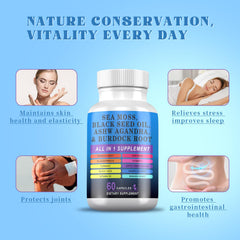 Pyzor Black Seed Oil and Ashwagandha illustrate adaptogenic support.