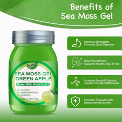 QANLOI sea moss gel open jar ready for smoothies