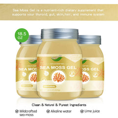 QANLOI Sea Moss Gel spoon mix demonstrates smooth incorporation