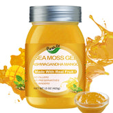 QANLOI Seamoss Gel bottle on white background highlighting immune support potential