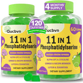 Qucbvn PS600mg gummies bottle with apple flavor for focus support