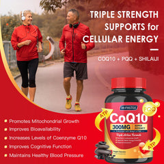 Quinovit Bioperine-enhanced absorption visual suggesting better nutrient uptake.
