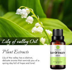 RAINBOW ABBY Lily of Valley oil diffusing scene promoting soft floral serenity.