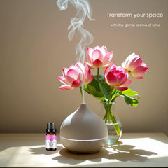 Rainbow Abby Lotus Essential Oil diffuser-ready setup delivering calming floral scent.