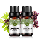 Rainbow Abby Marjoram essential oil bottle 10ml, ideal for diffusers.