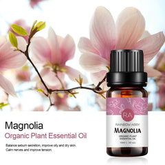 Rainbow Abby Magnolia gift-packaging highlights a thoughtful gift option